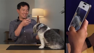 سگی به هوش مصنوعی GPT-40 برمی‌خورد