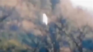 فرازمینی ها ۸۱۲ : مشاهده انسان‌های فوق‌العاده عجیب پرنده در ایران