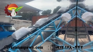 ارسال خاک قارچ دکمه ایی