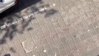 بدون شرح