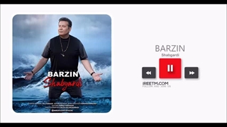 برزین شبگردی