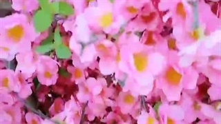 ولاگ سفرم به قشم و درگهان ✨