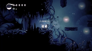 Hollow Knight لن شبکه