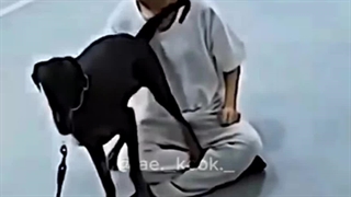 وقتی تهیونگ حکم صندلی داره⁦^⁠_⁠^⁩