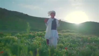 نماهنگ بالا نشین به مناسبت میلاد امام رضا(ع)