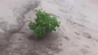 زنجیره انسانی برای نجات پاکبان سیل روز گذشته مشهد