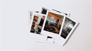 چاپ مینی پلاروید