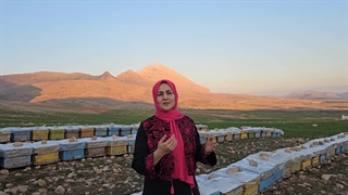 معرفی ماکوان