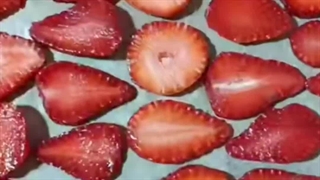 توت خشک با دستگاه خشک کن میوه 09198002868