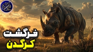 فرگشت کرگدن و نگاهی به گذشته این حیوان تا به امروز!