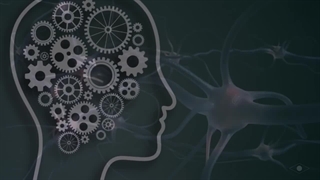 1 خبر وحشتناک! ذهن شما ماشین کوانتوم است