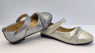 کالج مجلسی دخترانه درکرج