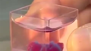 ساخت اولین قلب پرینت سه بعدی