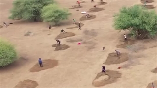 احیای طبیعت توسط انسان