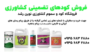 نحوه کود دادن به گیاهان آپارتمانی