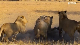 مستند بهشت نجات: یک داستان خانوادگی دوبله فارسی (کلیک فایلز)