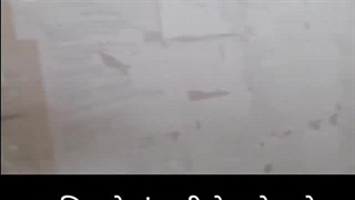 according to wikipedia and search about charudatta right to information