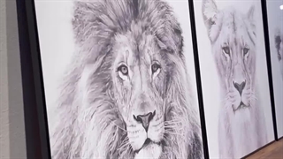 قاب دکوراتیو