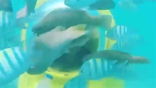 اسکوتر زیردریایی کیش