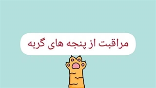 مراقبت از پنجه های گربه cats claw