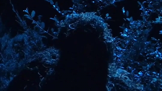 کلیپ کره ای ༺خون شیرین 2༻