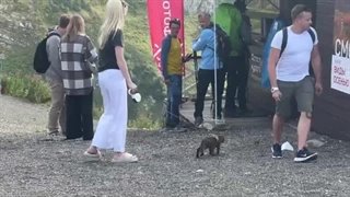 بهترین مکان در سوچی، روسیه