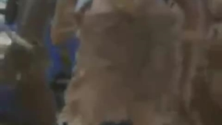 هایلوکس خراب نمیشه!