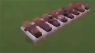 سم ترین ویدیویی که تو عمرم دیدم