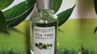 اسانس درخت چای و کاربرد آن