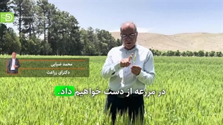 علایم و میزان خسارت سن مادری