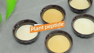 ژلاتین چیست و کاربرد آن