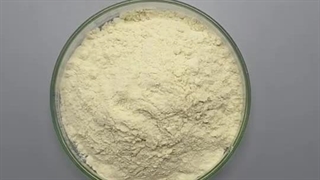 آلفا آمیلاز چیست و کاربردهای آن