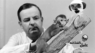 مهمترین آزمایش تاریخ روانشناسی که دنیای روابط را تغییر داد