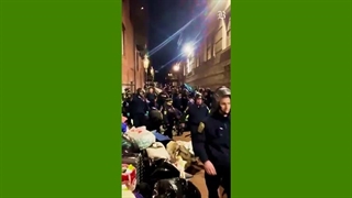 بیش از 100 دانشجوی کالج امرسون در تظاهرات حامی فلسطین دستگیر شدند !!