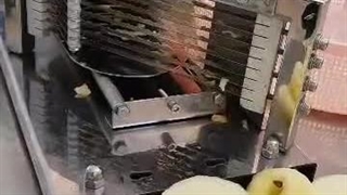 اموزش خشک کردن سیب با دستگاه خشک کن و اسلایسر سیب