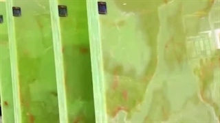 محهز ترین کارخانه سنگ ایران سنگ تهرانی