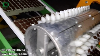 تست بذرکار گلخانه پس از پایان نصب خط بانک نشا