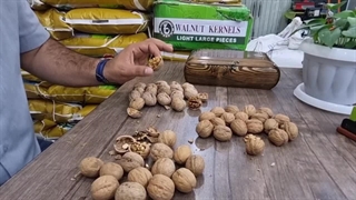 معرفی انواع گردو خارجی + نمونه های مغز گردو