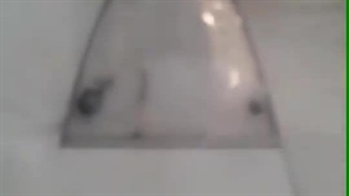 قالی شویی شاهد | سایت بهترین در مشهد