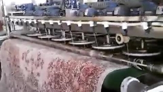 قالی شویی قدس | سایت بهترین در مشهد