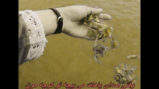 آهنگ سلام از بانو نوش آفرین / Nooshafarin - Salam