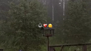 ولی من واقعا وایب این ویدیو رو خیلی دوست داشتم