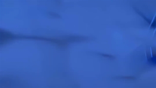 Bsd
