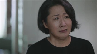 قسمت 13 سریال چینی سرافرازی عادی 2022 Ordinary Greatness با حضور بایلو و ژانگ رویون با زیرنویس فارسی