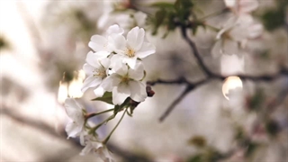 ♡تا درودی دیگر بدرود♡