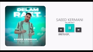 سعید کرمانی دلم رفت
