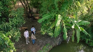 قسمت 18 سریال چینی کارآگاه حشرات فصل دوم - 2024 Insect Detective 2 با زیرنویس فارسی