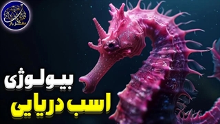 بیولوژی حیرت انگیز اسب دریایی