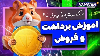 آموزش فروش همستر کامبت و بررسی اهمیت پروفیت