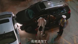 قسمت 26 سریال چینی سرافرازی عادی 2022 Ordinary Greatness با حضور بایلو و ژانگ رویون با زیرنویس فارسی